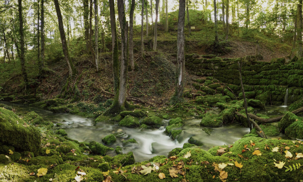 La Venoge, un patrimoine naturel à protéger, Foto: Office du Tourisme de Lausanne